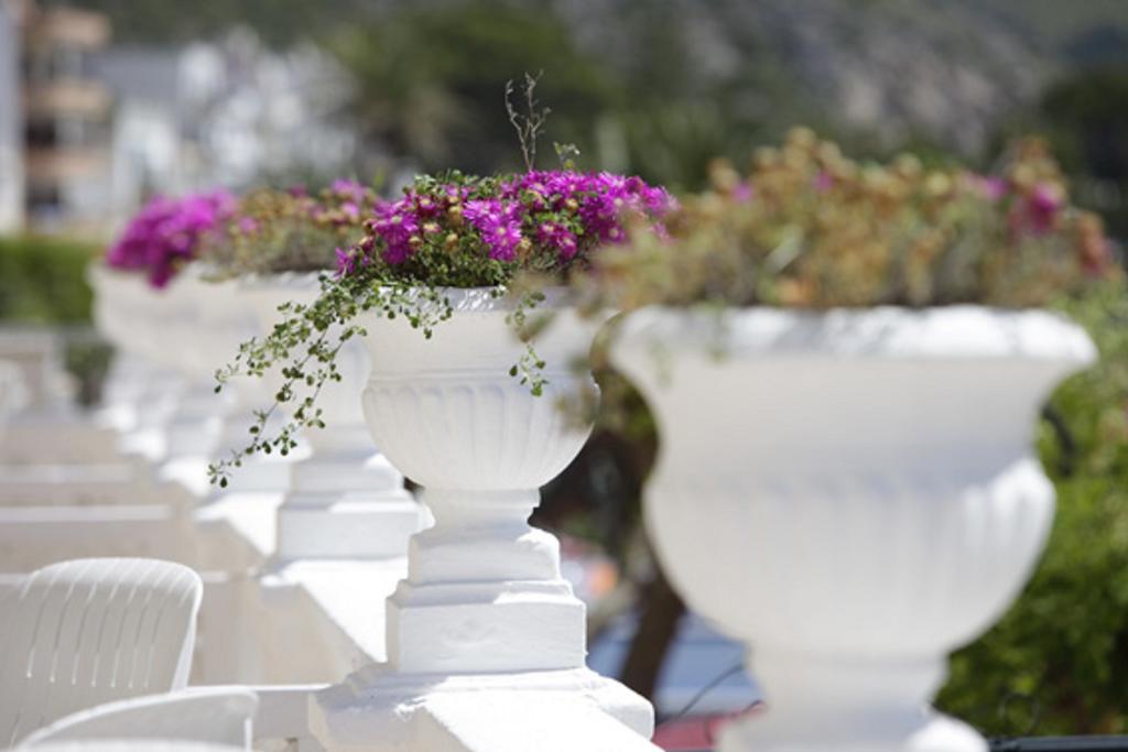 Hotel Miramar Mallorca 포엔샤 항구 외부 사진